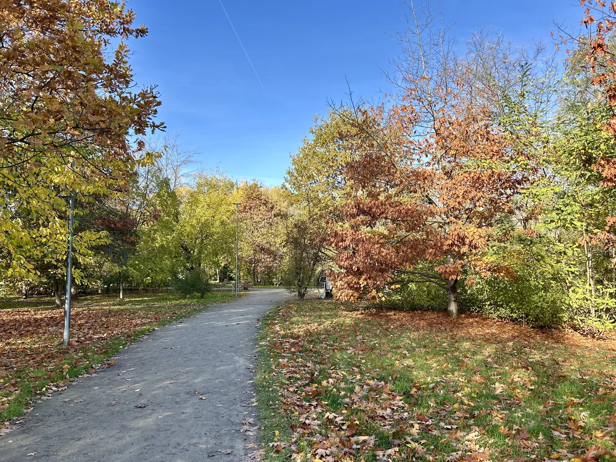Park Leonarda da Vinci zdjęcie